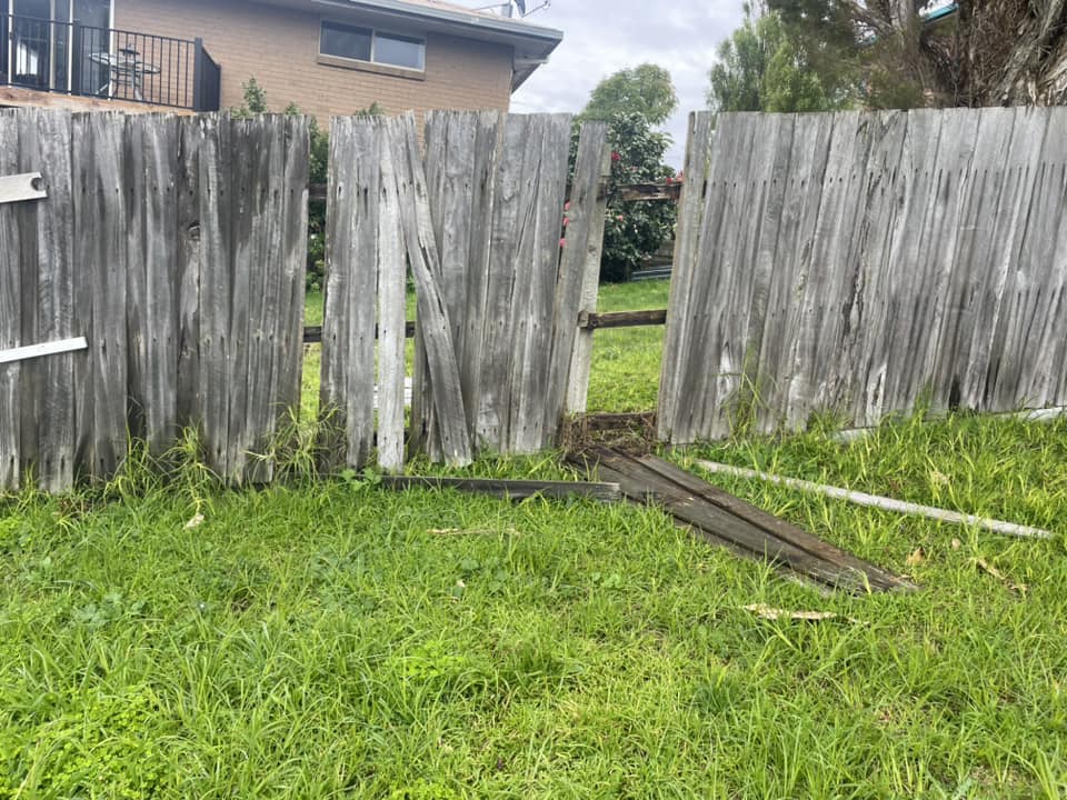 A collapsed, silvered old timber paling fence lying in long grass before replacement